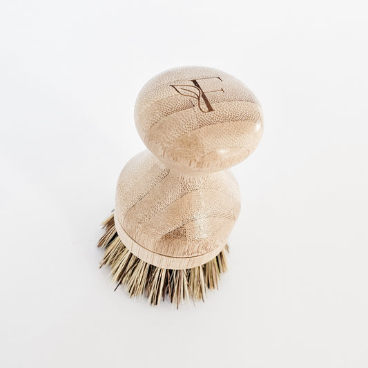 Refillable Scrubber Base | Palmyra Fibre Head