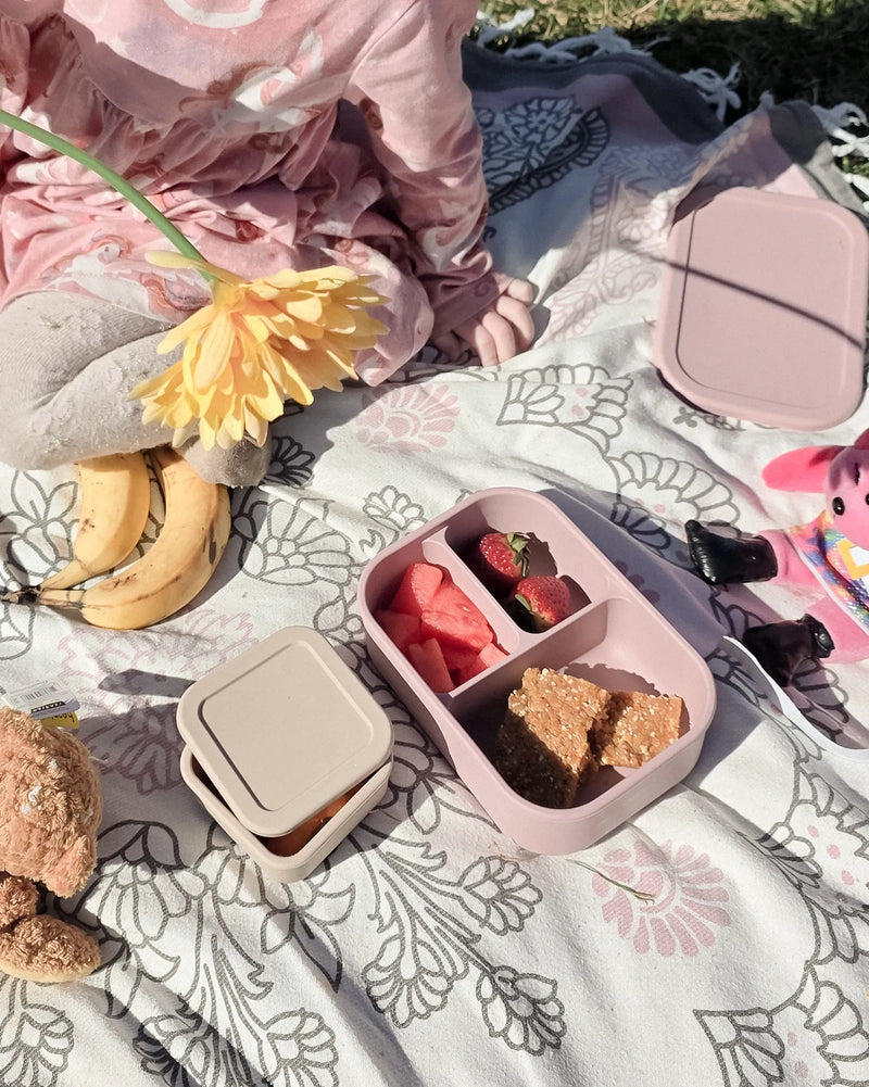 Bento Boxes